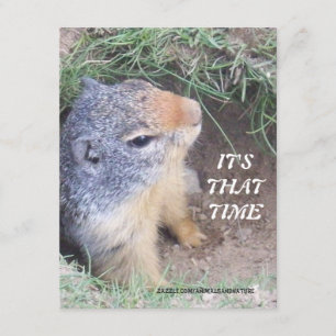 Het is die Time Groundhog dag uitnodiging