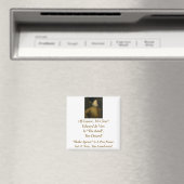 Het is duidelijk, het is de Vere Magnet. Magneet (Insitu (Vaatwasser))