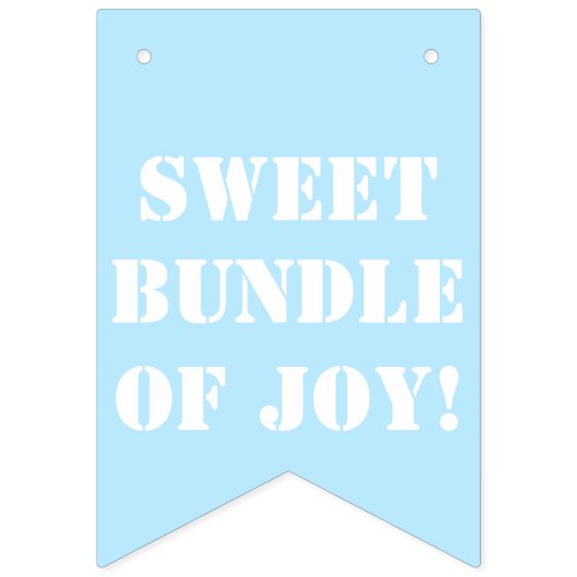 Het is een Boy Bunting Banner (Eerste vlag)