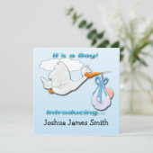 Het is een 'Boy Stork Birth Announcement' Aankondiging (Staand voorkant)