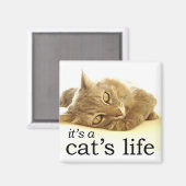 Het is een Cat's Life - Magnet Magneet (Voorkant / Achterkant)
