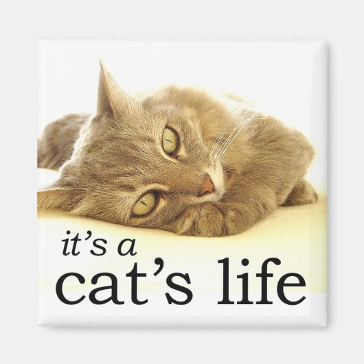 Het is een Cat's Life - Magnet Magneet (Voorkant)