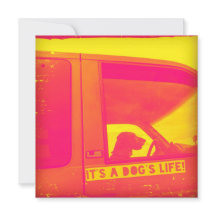 Het is een Dog's Life Wenskaart