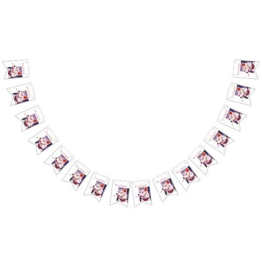 Het is een feestelijke feestdag. vlaggetjes (Alle)