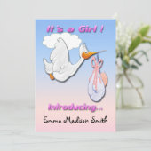 Het is een 'Girl Stork Birth' aankondiging (Staand voorkant)