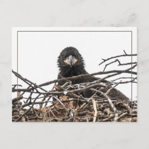 Het is een grote nieuwe wereld briefkaart