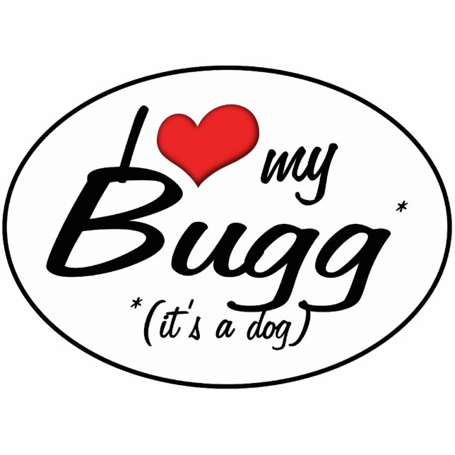 Het is een hond. Ik hou van mijn bug Fotobeeldje Ornament (Voorkant)