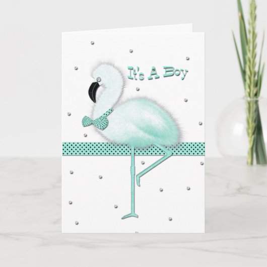 Het is een Jongen! Aankondiging (Voorkant)