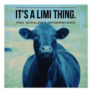 Het is een Limousin ding die je niet zou begrijpen Perfect Poster