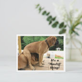 Het is een "Mastiff" ding! gekke Engelse Mastiff-h Briefkaart (Staand voorkant)