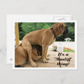 Het is een "Mastiff" ding! gekke Engelse Mastiff-h Briefkaart (Voorkant / Achterkant)