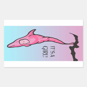 Het is een meisje! (dolfijnencoon) rechthoekige sticker