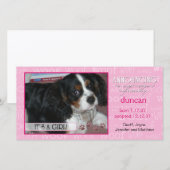 Het is een meisje - Pet-fotokaart Aankondiging (Voorkant / Achterkant)