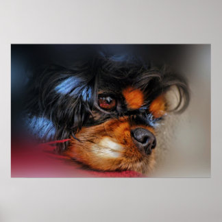 Het is een moeilijk leven.... poster