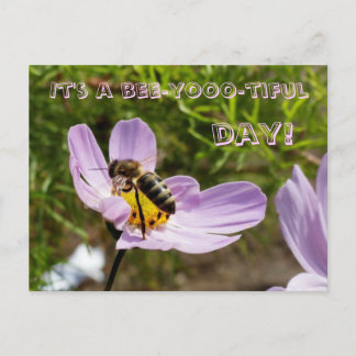 Het is een mooie dag voor de bijen! / Bee Poscard Briefkaart