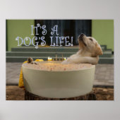 Het is een poster voor het leven van honden (Voorkant)