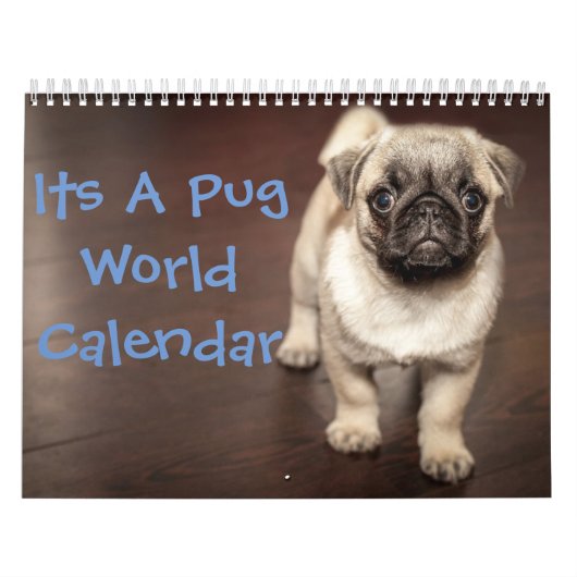 Het is een Pug Calendar Kalender (Hoes)