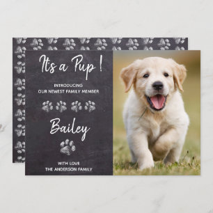 Het is een Pup Puppy Dog New Pet Aankondiging