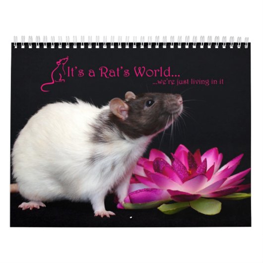 Het is een Rat World Calendar 2016 Kalender (Hoes)