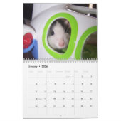 Het is een Rat World Calendar 2016 Kalender (Jan 2026)