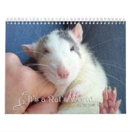 Het is een Rat World Calendar 2016 Kalender