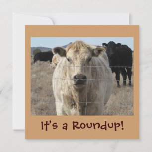 Het is een Roundup. Koeien - vitierritme Kaart