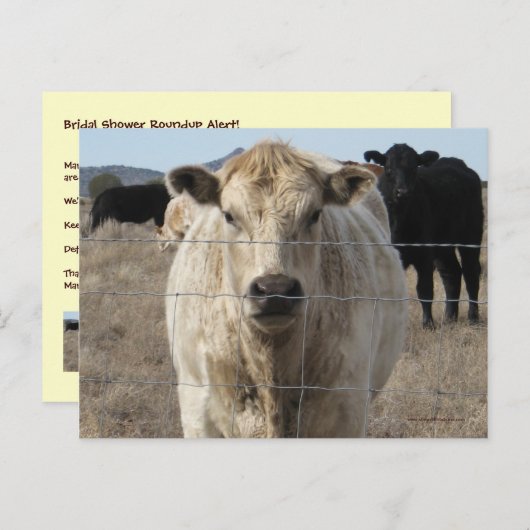 Het is een Roundup! Rundvee - Western "Save the Da Aankondigingskaart (Voorkant / Achterkant)