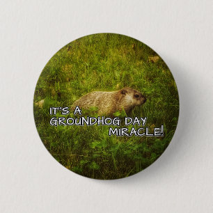 Het is een wonder van de dag. ronde button 5,7 cm