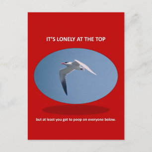 het-is-eenzaam-aan-de-top-maar-tenminste-kun-je-po briefkaart