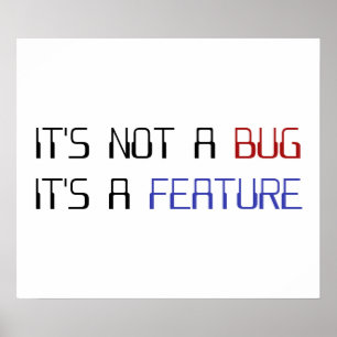 Het is geen Coding Bug Het is een Programmeringsfu Poster