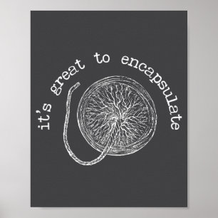 Het is geweldig om de placenta van een vroedvrouw poster