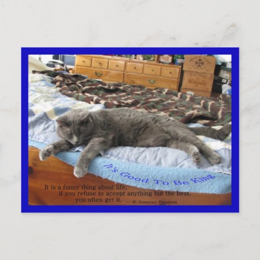 Het is goed om koning te zijn briefkaart (Voorkant)