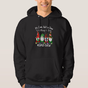 Het Is Goed Wij Zijn Goed Alles Is Goed Gnome Vers Hoodie