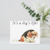 Het is het leven van een hond grappig Cute Beagle  Briefkaart (Staand voorkant)