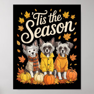 Het Is Het Seizoen Chinese Crested Hond Herfst Her Poster