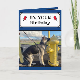 Het is je verjaardag Funny Puppy Kaart