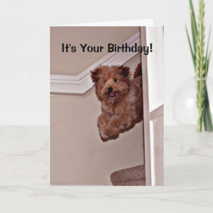 Het is jouw geboorte-opgewonden Happy Dog Pet Kaart