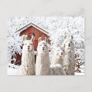 "Het is Kerstmis!" Briefkaart