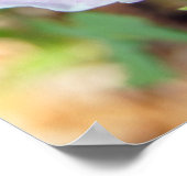 Het is Lente. Poster (Hoek)