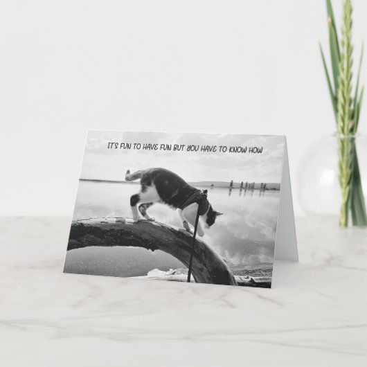 Het is leuk om plezier te hebben, notecard aankondiging (Voorkant)