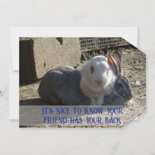 Het is leuk om te weten... feestdagenkaart