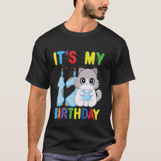 Het is mijn 12e verjaardag Jongen 12 jaar oude Rag T-shirt