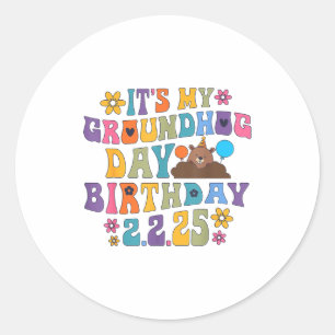 Het is mijn Groundhog Day verjaardagsfeesthoed Gra Ronde Sticker