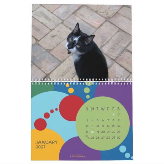 Het is mijn verjaardag, SUCKAS!!! Kalender (Jan 2027)