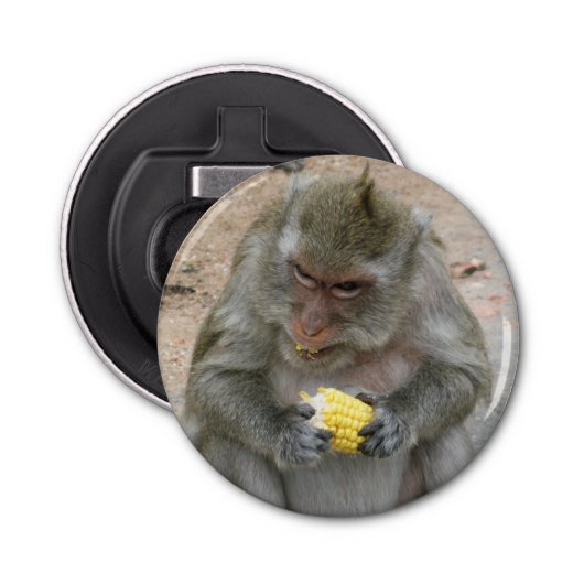 Het is Mine! .. Wild Thai Macaque Monkey Button Flesopener (Voorkant)