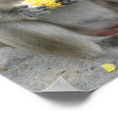 Het is Mine! .. Wild Thai Macaque Monkey Poster (Hoek)