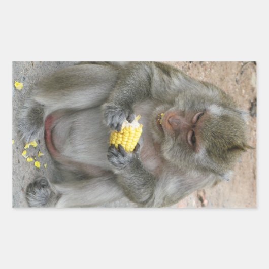 Het is Mine! .. Wild Thai Macaque Monkey Rechthoekige Sticker (Voorkant)