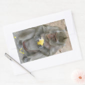 Het is Mine! .. Wild Thai Macaque Monkey Rechthoekige Sticker (Envelop)