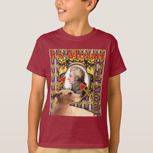 Het is Mozart T-shirt (Voorkant)