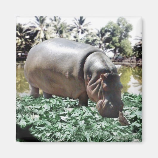 Het is oké dat we anders zijn, we kunnen het uitwe magneet (Voorkant)